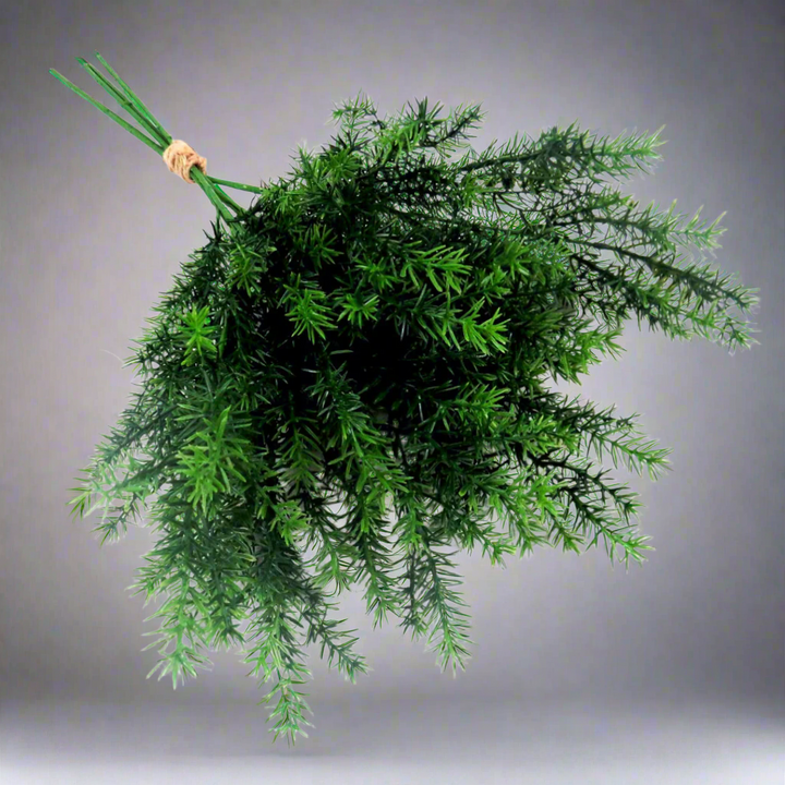 Asparagus Fern Bunch