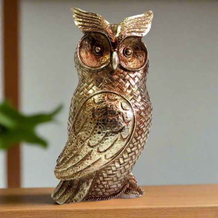 Unique Boys
Chaucer Owl
Antique Silver Owl Decor
Elevate your home décor with the majestic Chaucer Owl, a stunning antique silver figurine.