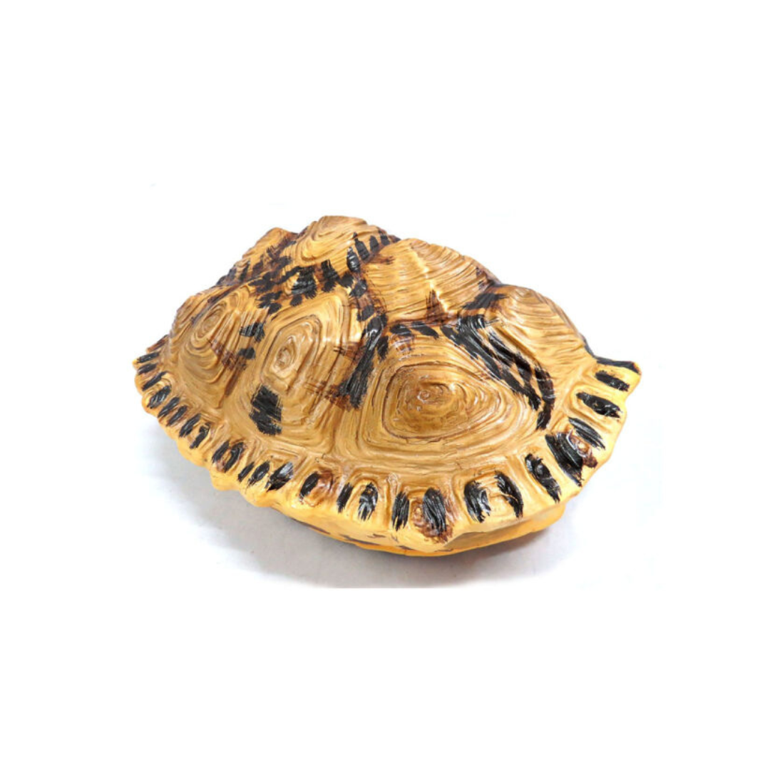 The Shyman Tortoise is a beautifully crafted decor piece, measuring 21cm x 14cm x 28cm. Its chunky, double-sided design allows for versatile display options - hang it up or use it as a table centerpiece. Each tortoise is exquisitely painted and formed, adding a touch of elegance to any room.www.uniqueboys.co.za