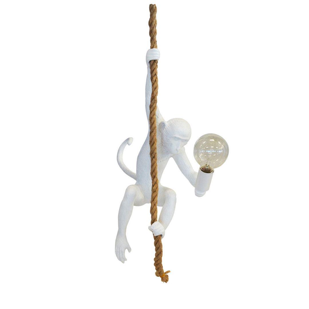 Resin monkey on rope white  Size  80CM (H)  Beautiful white monkey on the rope for the perfect hanging light.  lovely addition to any home. Interior Decor Piece.  Ornamental lighting.  www.uniqueboys.co.za 