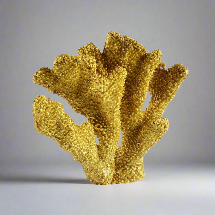 Coral ear gold