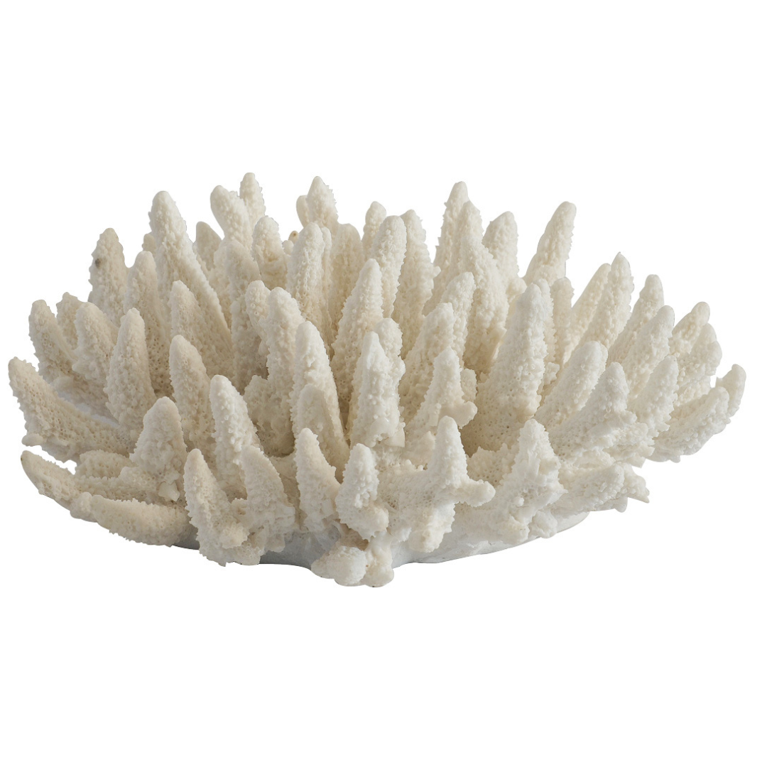 Coral Spiked White measures 32CM (W) x 12CM (H) and features a coral sculpture in a light blue hue, creating one-of-a-kind interiors.  Coral spiked White   Size  32CM (W) X 12CM (H)  Coral Sculpture Light Blue  Unique Interiors