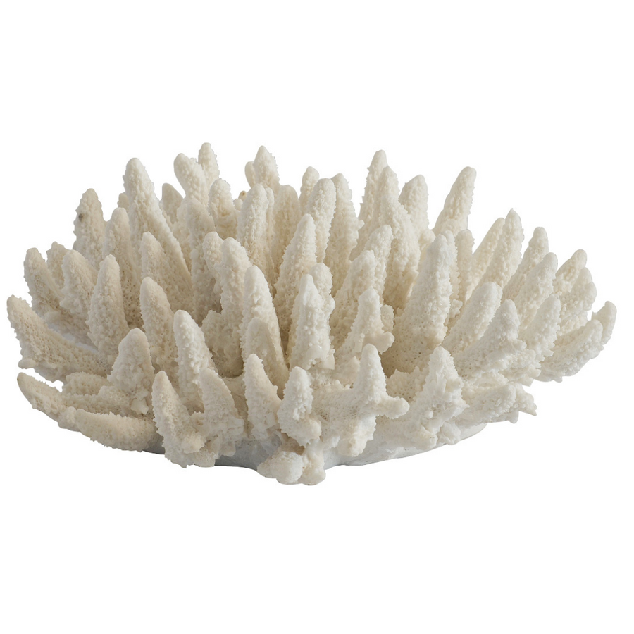 Coral Spiked White measures 32CM (W) x 12CM (H) and features a coral sculpture in a light blue hue, creating one-of-a-kind interiors.  Coral spiked White   Size  32CM (W) X 12CM (H)  Coral Sculpture Light Blue  Unique Interiors