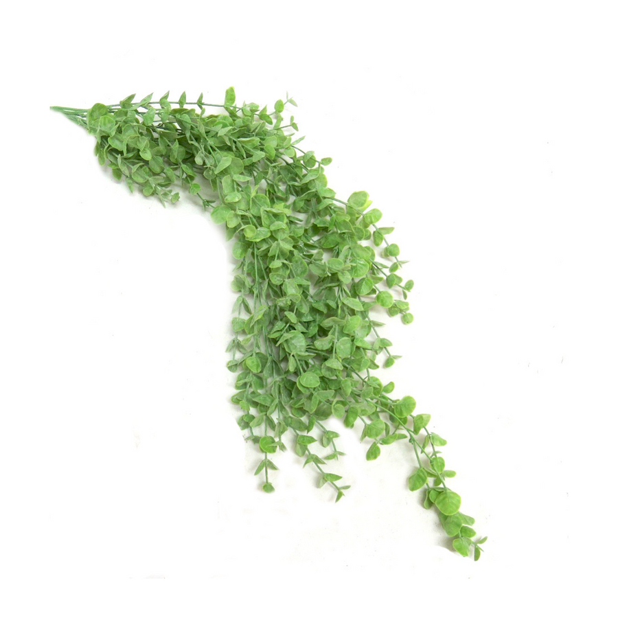 Maximize the growth of your vineyard with the Limejade Vine. With 85CML, this versatile plant offers increased yield and resistance to pests and disease. It's the perfect choice for any expert looking to enhance their harvest- UNIQUE INTERIORS