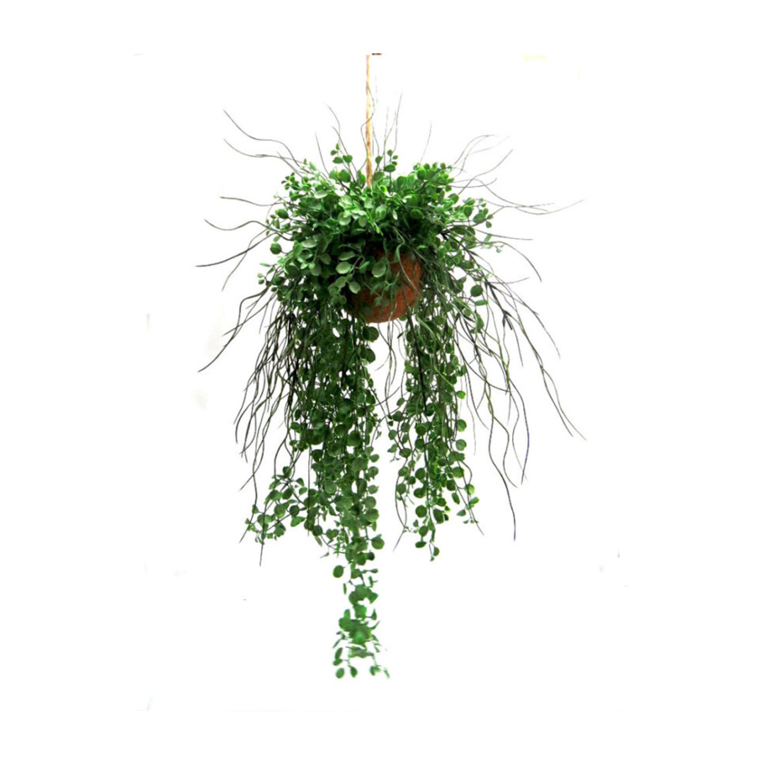 Introducing the Green Goddess Ball, a stunning botanical masterpiece! Bursting with exuberant growth, this plant features a total length of 114cm, with a 44cm cord and 40cm width at its widest part. Its mass of leaves, shoots, and aerial roots will bring beauty and life to any space- UNIQUE INTERIORS