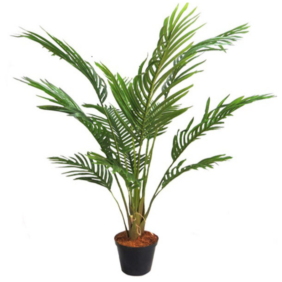 This Areca Palm reaches a height of 90cm, making it the perfect addition to any indoor or outdoor space. With its lush foliage and low maintenance, this plant not only adds a touch of green to your environment, but also helps improve air quality. A must-have for any plant lover or interior designer-UNIQUE INTERIORS