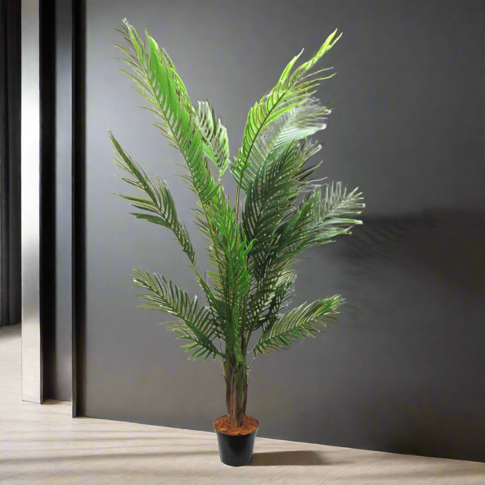 This Areca Palm reaches a height of 140cm, making it the perfect addition to any indoor or outdoor space. With its lush foliage and low maintenance, this plant not only adds a touch of green to your environment, but also helps improve air quality. A must-have for any plant lover or interior designer-unique interiors