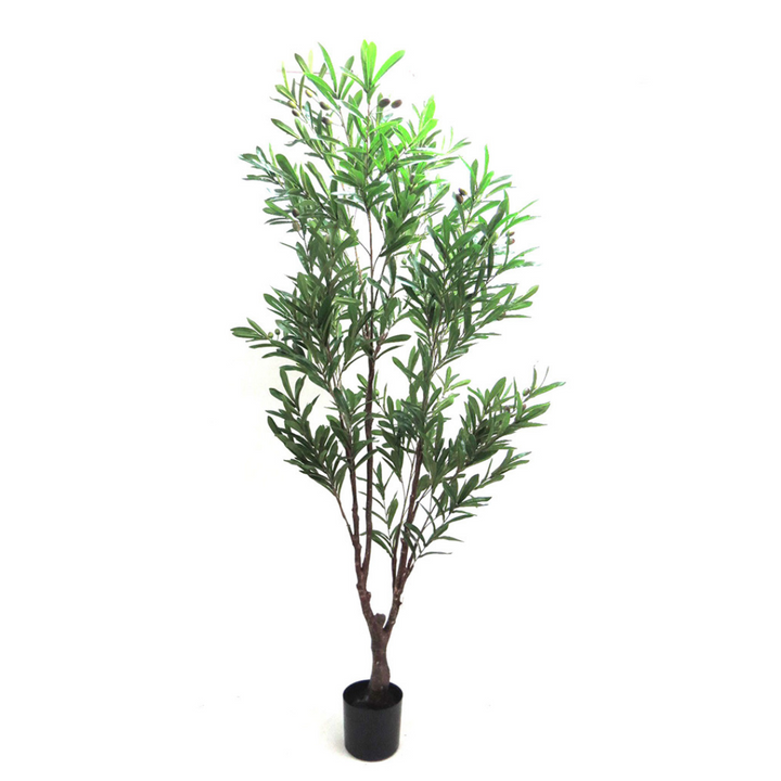 This Olive Tree stands tall at 210cmh, making it a stunning addition to any indoor or outdoor space. With its impressive height, it provides a refreshing touch of greenery while adding depth and character to your decor. Perfect for those who prefer a touch of nature in a modern setting-UNIQUE INTERIORS