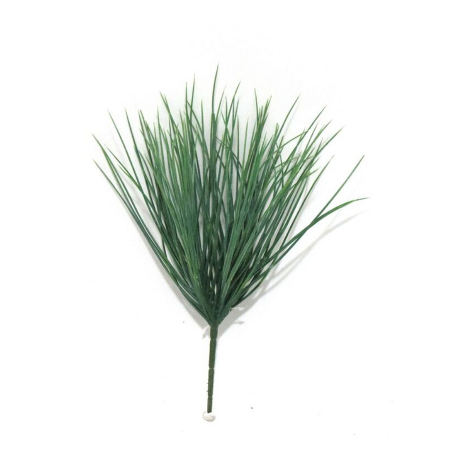 As a trusted industry expert, I present to you the Dassiebush - a 35cml grass plant with a full and lush appearance. Perfect for adding a touch of green to any space, it boasts a great texture and is sure to please with its lovely color-UNIQUE INTERIORS