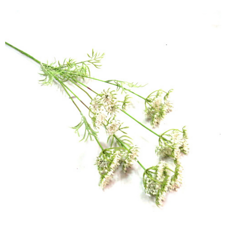 Experience the captivating beauty of White Queen Anne's Lace, also known as "Cow Parsley". This stunning flower stands at an impressive 80 cm in length and boasts exquisitely delicate flower heads and botanical leaves. Its pure white color and perfect form make it a true fantasy in any arrangement-UNIQUE INTERIORS