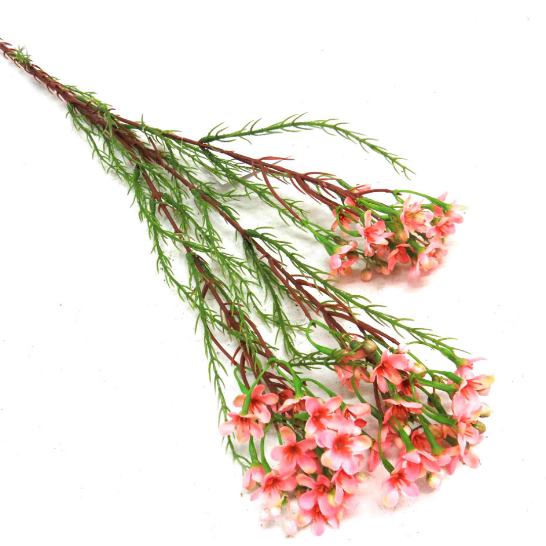 This 78cml Wax Spray Pink boasts a mass of beautifully shaped pink blooms, complemented by fine fynbossie type greenery leaves. With its unique form and stunning color, this item is sure to add a touch of beauty to any space-unique interiors