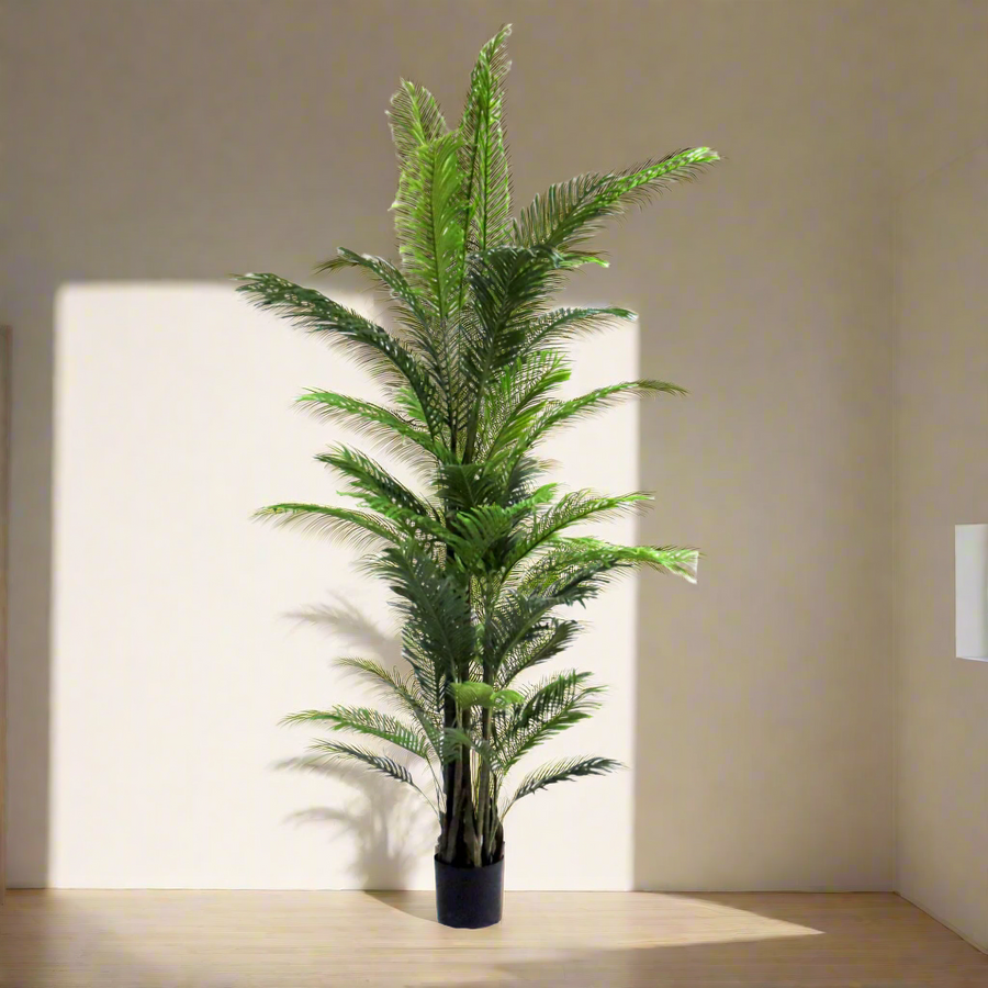 Expertly crafted, the Areca Palm Magnifica is a magnificent addition to any interior space. At 230cm high, this multitrunked palm tree boasts glossy and full fronds in various sizes, creating a realistic and stunning display. Perfect for any setting, it brings a touch of greenery indoors, making it the best choice for home or workplace decor-UNIQUE INTERIORS