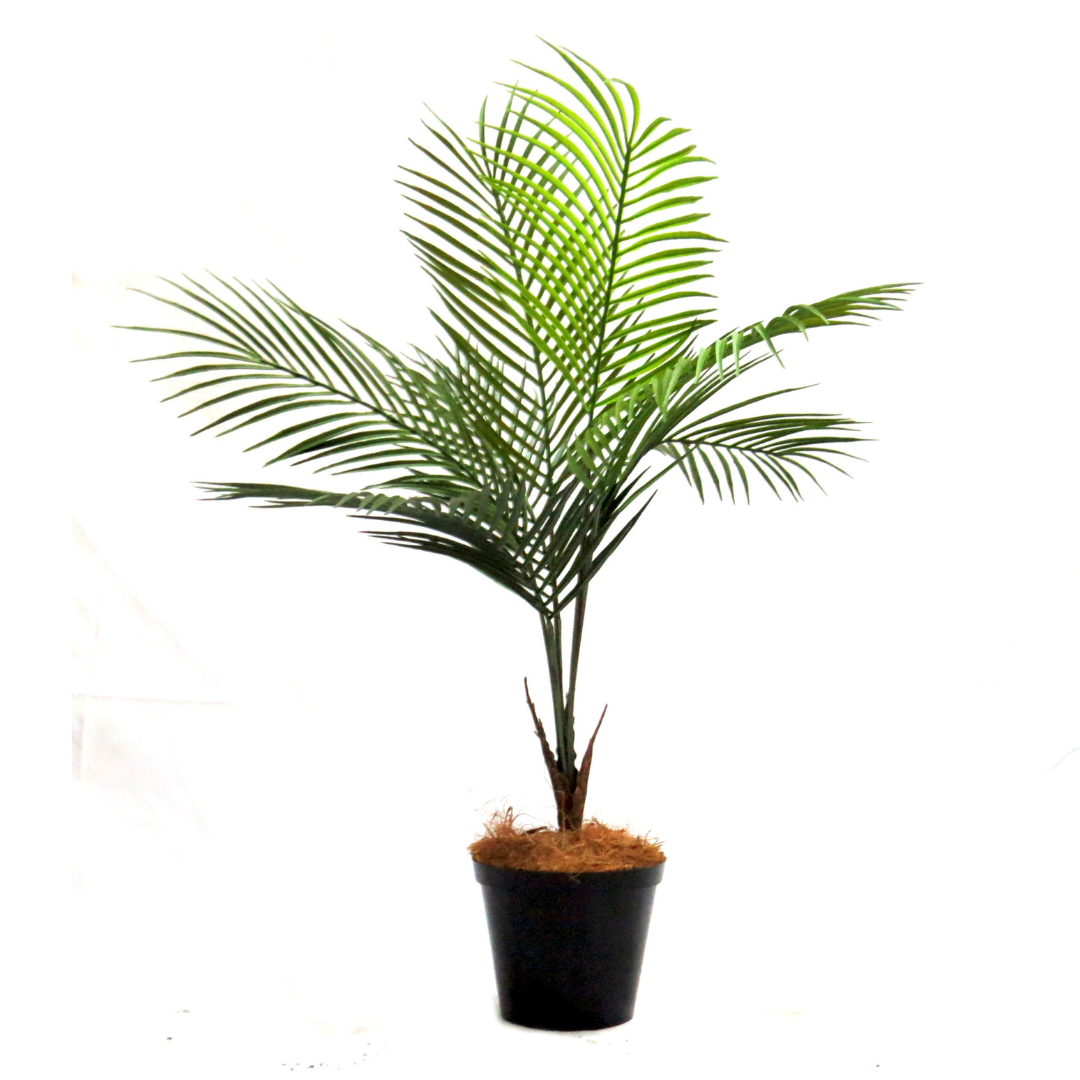 Get a taste of the tropics with Palmalicious. This lovely little palm tree stands at 74cm and comes firmly potted in a well-weighted pot. With a 65cm frond span and interesting lower trunk detail, this quality and colorful plant is the perfect addition to any space-UNIQUE INTERIORS