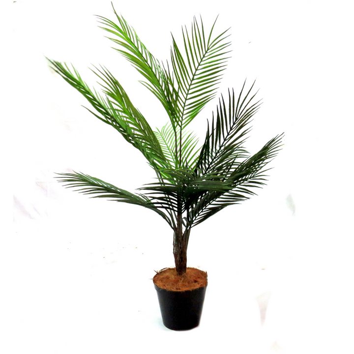 Discover the beauty of the Palm Pinnaculata, standing at 85cm tall with an impressive 70cm span at its widest point. Its unique trunk details and vividly colored fronds make it a standout piece. Expertly potted in a sturdy and weighted container, this high-quality palm tree adds a touch of elegance to any space-UNIQUE INTERIORS