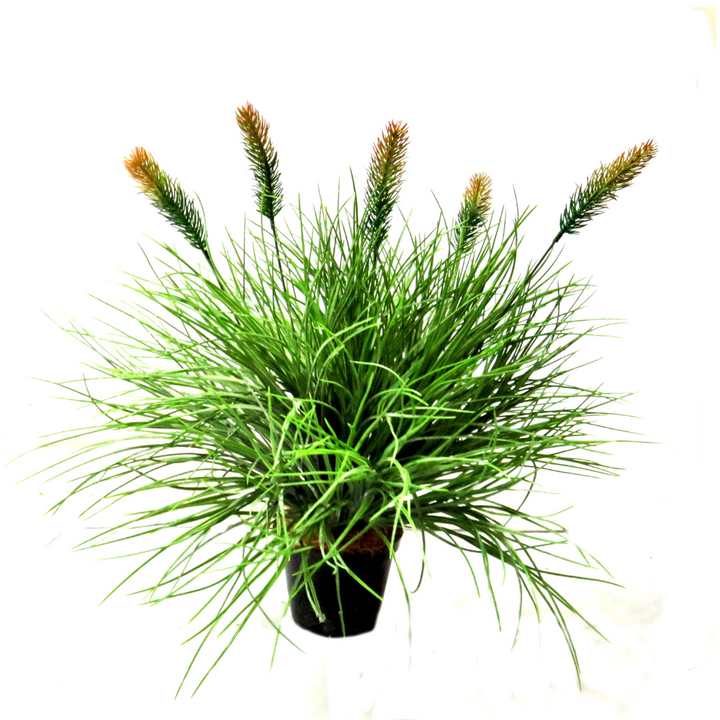 The Tradouw Flowering Potted Grass brings a mass of bursting greenery and attractive flowering grass heads to any space. With a height of 50cm and a width of 60cm, this gorgeous grass pot adds a touch of natural beauty to your surroundings-UNIQUE INTERIORS