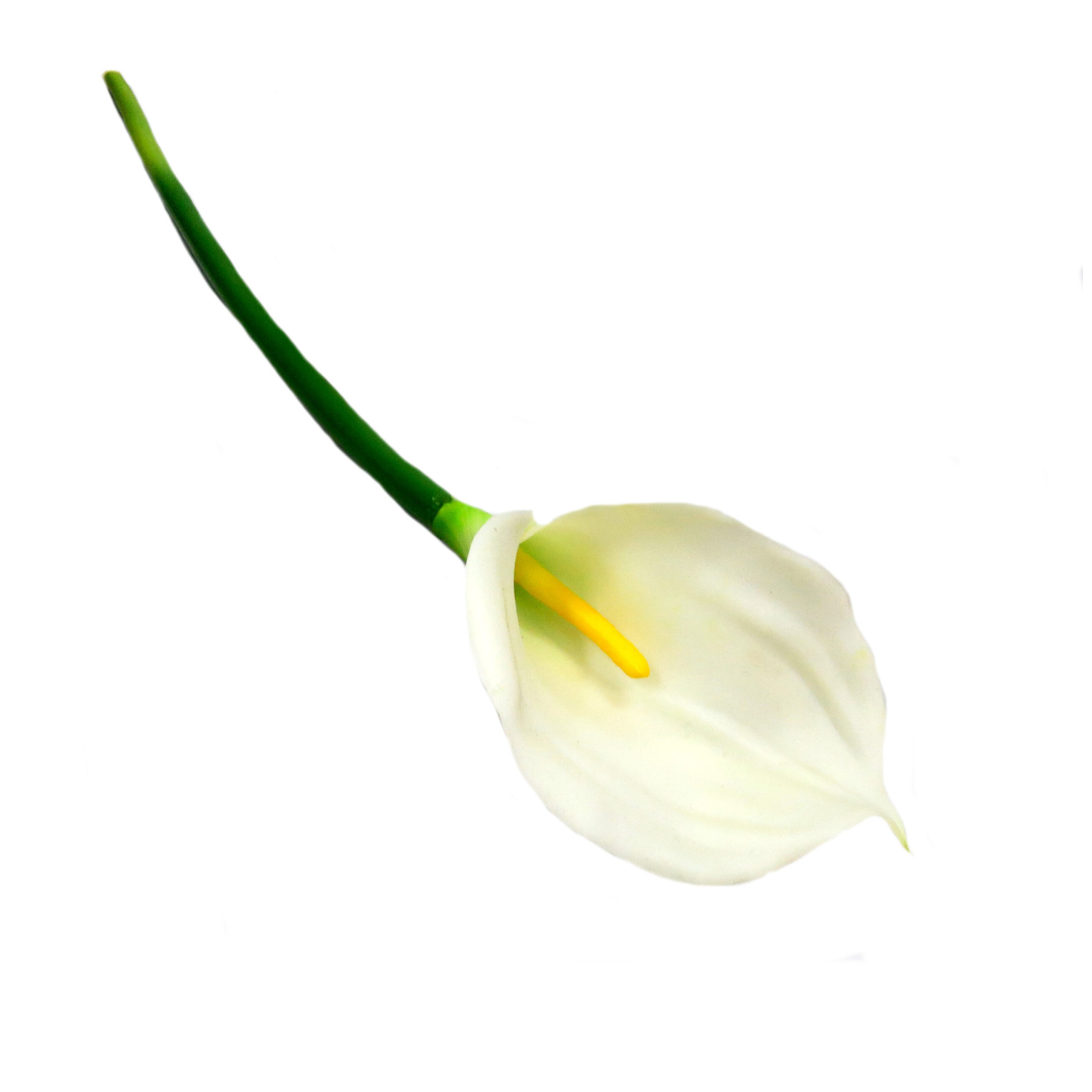 Expertly crafted to the highest standards, the White Arum Lily offers stunning realism with its real touch design. With a stem measuring 68cm and a perfectly sized head at 14cm long and 8cm wide, this lily provides a beautiful touch to any space-UNIQUE INTERIORS