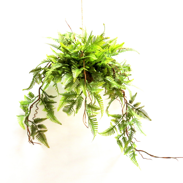 Introducing our Fernball Follyhill, a locally designed and constructed hanging ball made of delicate, fresh-coloured ferns. The lovely structure and intricate weaving of stems and roots offer a touch of nature to any space. With a wide span of 46cm and a 54cm plant material fall, it adds lots of movement. Plus, an attached 44cm cord makes for a total length of 98cm. Bring the outdoors inside with this decorative piece-UNIQUE INTERIORS