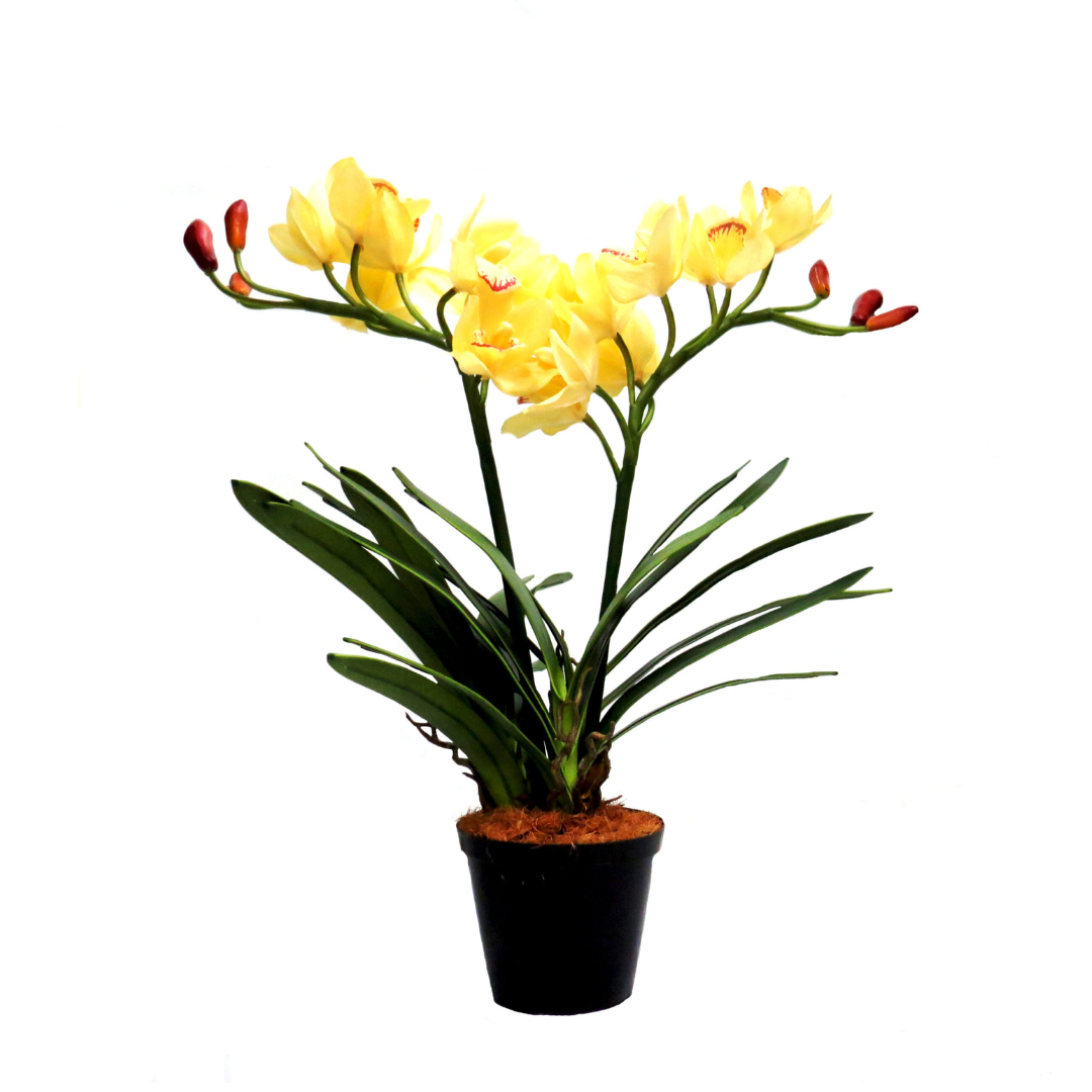 Introducing the Potted Cymbidium Honeymoth, a beautiful and realistic addition to any space. This plant boasts 16 full, open blooms and 6 well-formed buds, amidst its many bladed leaves. With a height of 64cm and a width of 75cm, it is easily adjustable to your desired shape. Its gorgeous color and form make it a faux delight of a plant-UNIQUE INTERIORS