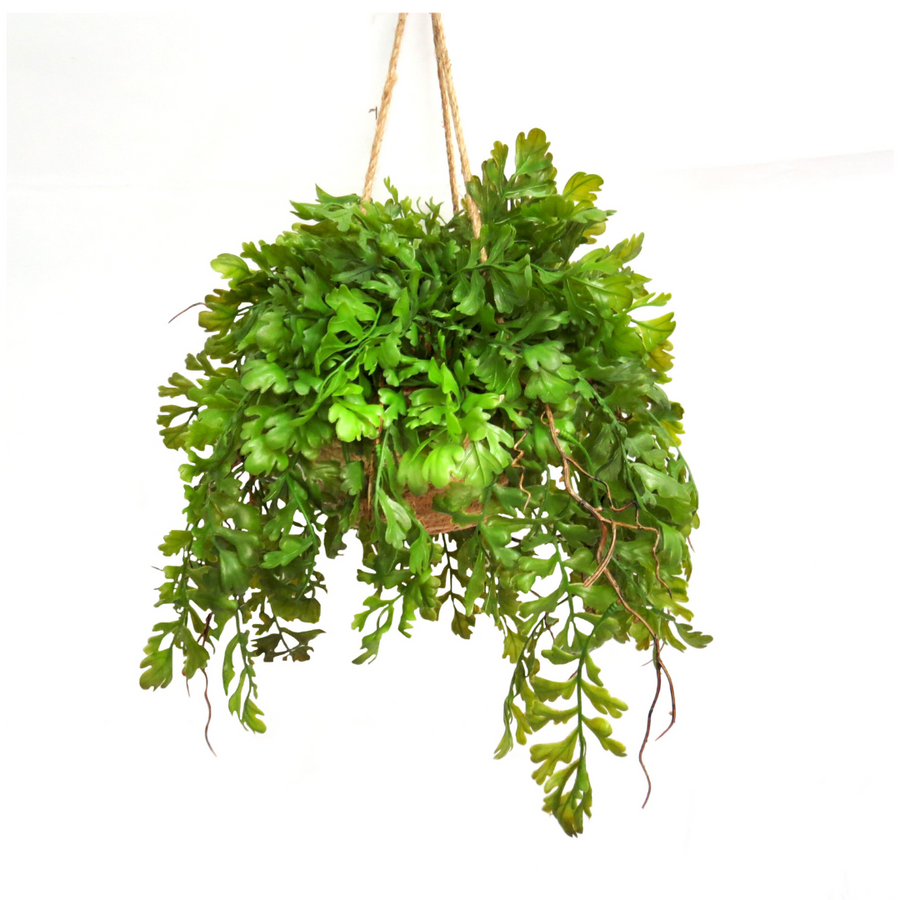 The Fern Basket Canyon is an artificial fern that adds natural beauty to any space. Its lifelike appearance is perfect for those who want the look of real ferns without the maintenance. Made with expert craftsmanship, this fern will enhance any home or office with its realistic and elegant design-unique interiors