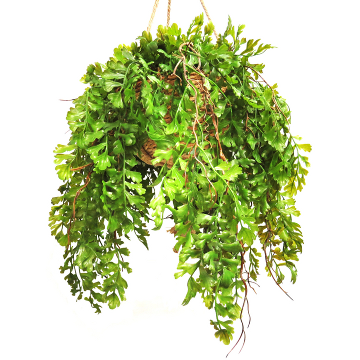 The Fern Basket Solaris brings the beauty of ferns into any space without the worry of maintenance. With its artificial design, it adds a touch of nature without the need for watering or sunlight. Perfect for those who love foliage but don't have a green thumb-unique interiors