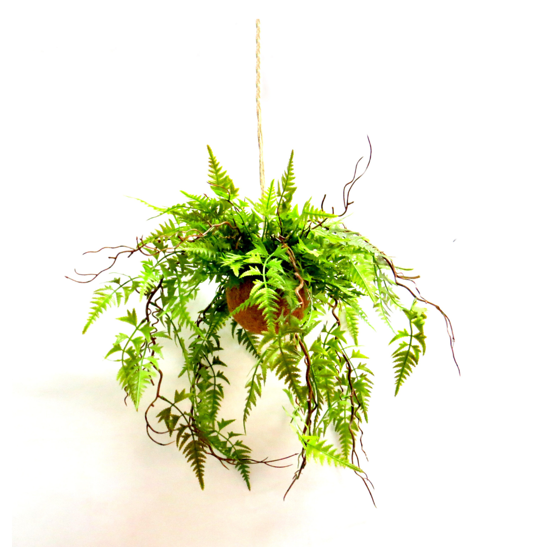 Overture Fern Ball is an artificial fern ball that brings the beauty of nature into your home or office without the hassle of maintenance. Crafted with lifelike textures and rich green hues, it adds a touch of natural charm to any space. Enjoy the benefits of greenery without the upkeep-unique interiors