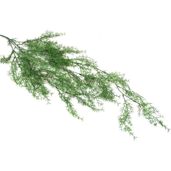 With an impressive length of 80CML, the Sprengeni Vine is a vibrant green asparagus fern that is perfect for hanging. The long tendrils add a touch of elegance to any room, while the fern's air-purifying qualities create a healthier living space. Bring a touch of nature indoors with this stunning and beneficial hanging plant- UNIQUE INTERIORS