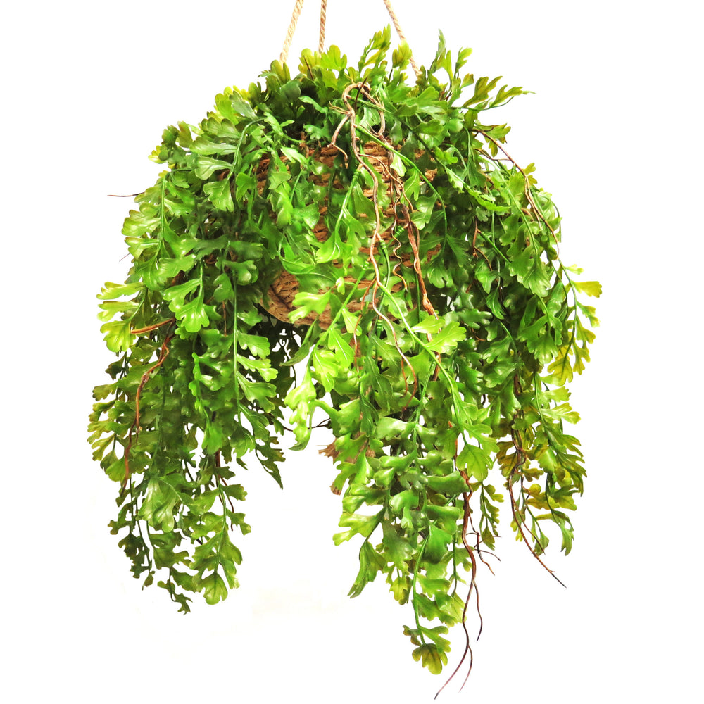 The Fern Basket Solaris brings the beauty of ferns into any space without the worry of maintenance. With its artificial design, it adds a touch of nature without the need for watering or sunlight. Perfect for those who love foliage but don't have a green thumb-unique interiors