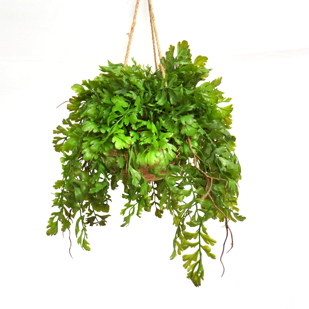 The Fern Basket Canyon is an artificial fern that adds natural beauty to any space. Its lifelike appearance is perfect for those who want the look of real ferns without the maintenance. Made with expert craftsmanship, this fern will enhance any home or office with its realistic and elegant design-unique interiors