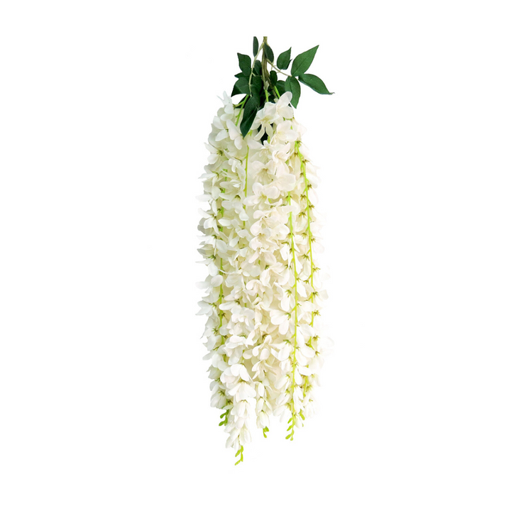 White Glory - Timeless Elegance in a Hanging Plant!
Experience the beauty of nature indoors with White Glory, a stunning artificial hanging plant!
77cmL of white hanging wisteria stems, crafted to perfection
Elegant design adds a touch of sophistication to any space
Timeless and versatile, perfect for indoor decor, offices, or as a thoughtful gift
Benefits:
Low maintenance, no watering or pruning required
Adds a touch of natural beauty to any room
Trendy and stylish, staying forever in style
