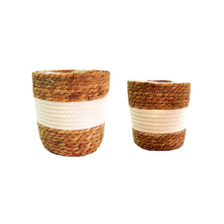 Unique Boys - Planter Basket Set
Elevate your home decor with our stunning planter basket set, expertly crafted to bring a touch of natural elegance to any room.
Product Description
This set of 2 plastic-lined baskets features a thick central border of white cotton, creating a fresh and stunning planter set. Each basket is expertly woven in natural materials, ensuring durability and a unique texture.