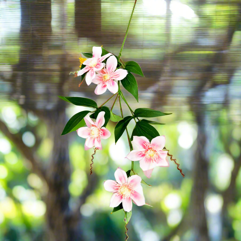 Clematis Soft Pink
Delicate Artificial Flower
Adorn your space with the beautiful Clematis Soft Pink. This stunning artificial flower features:
Lovely soft pink blooms
Realistic green leaves
Perfectly crafted stem