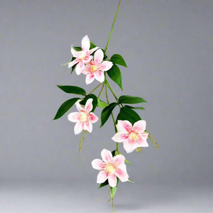 Clematis Soft Pink
Delicate Artificial Flower
Adorn your space with the beautiful Clematis Soft Pink. This stunning artificial flower features:
Lovely soft pink blooms
Realistic green leaves
Perfectly crafted stem