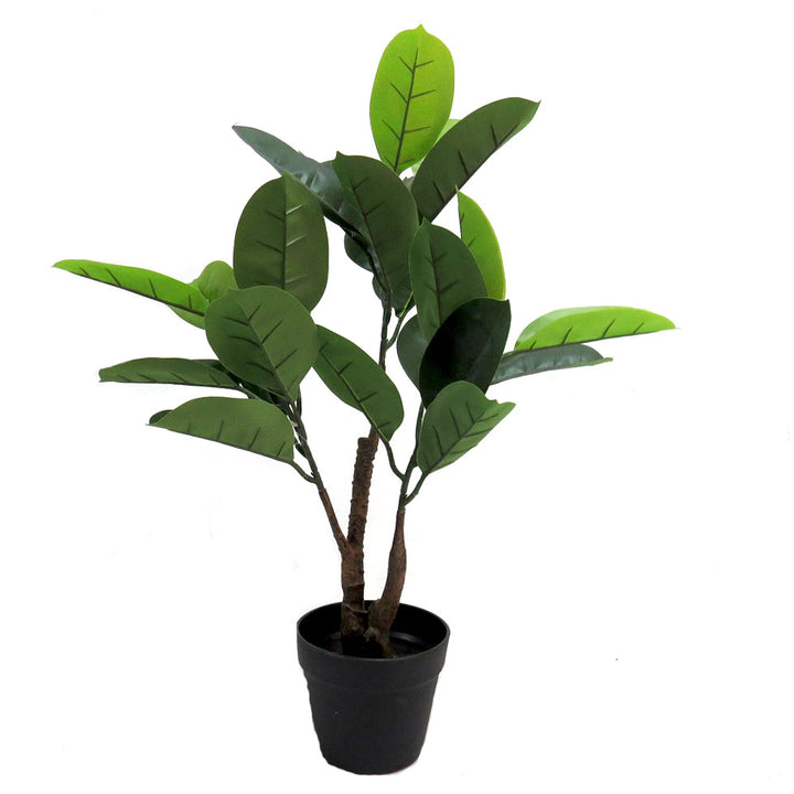 Our Tree Rubber is the perfect addition to any home or office. Made from high-quality material and carefully crafted for realistic colouring, this artificial plant stands at 70cmH. With lifelike detailing and easy to manage upkeep, Tree Rubber is the perfect way to add a bit of nature indoors.