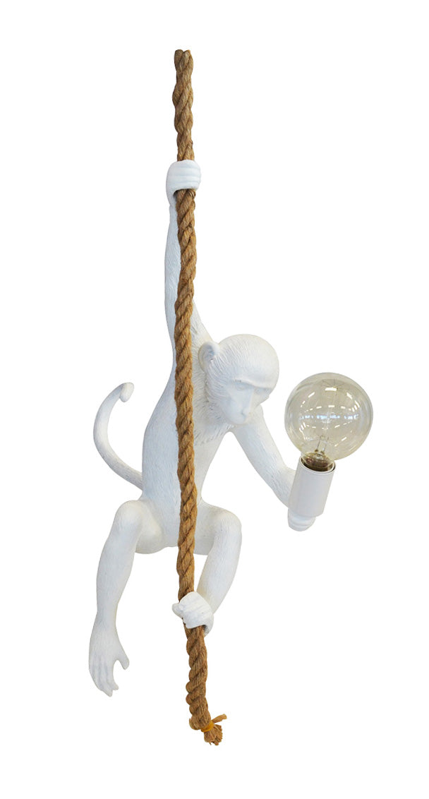 Resin monkey on rope white  Size  80CM (H)  Beautiful white monkey on the rope for the perfect hanging light.  lovely addition to any home. Interior Decor Piece.  Ornamental lighting.  www.uniqueboys.co.za