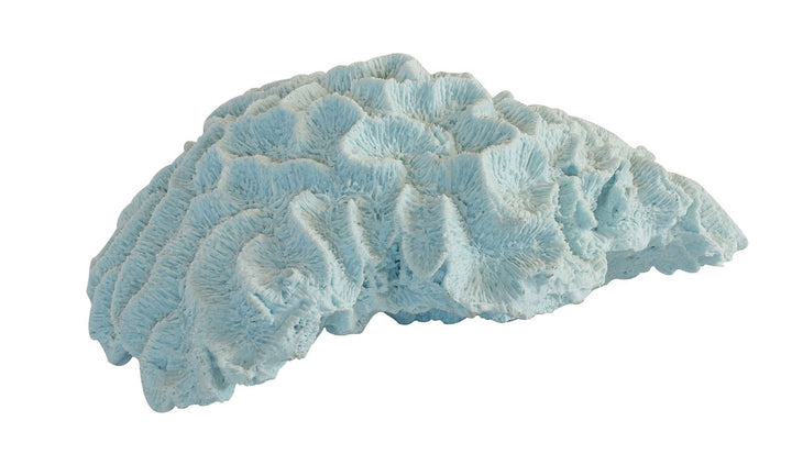 Coral brain blue x large